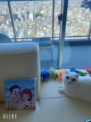 神山 ビューティー・アイのマツエク・マツパデザイン