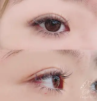 カラー マツエク・マツパ パーフェクトウィンク ちぢいわみのりのマツエク・マツパデザイン