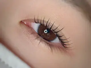 マツエク・マツパ AYLASH石川 韓国風/カラエクのマツエク・マツパデザイン