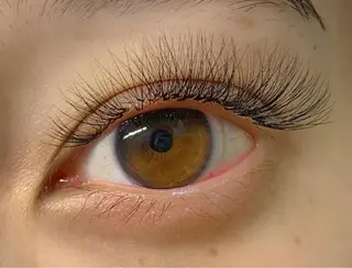 マツエク・マツパ Luana所属・🕊 Luana 🌷︎の眉毛・アイブロウイメージ