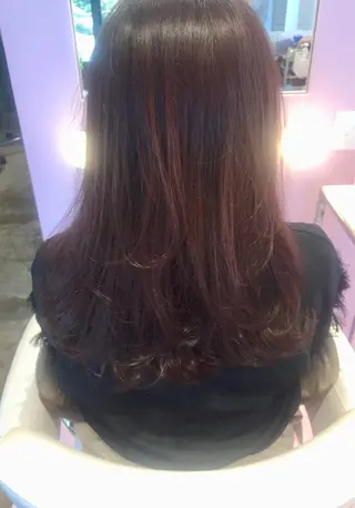 セミロング 所渉/韓国レイヤー /ウルフカットのヘアスタイル