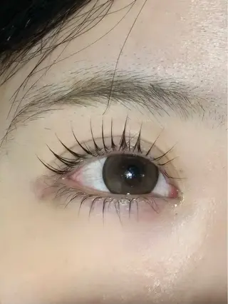 マツエク・マツパ cocoro💗 ﾏﾂｴｸ/Ivyのマツエク・マツパデザイン