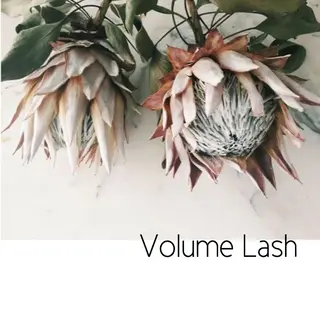 マツエク・マツパ 飯田/Tomo's HairDesignのマツエク・マツパデザイン