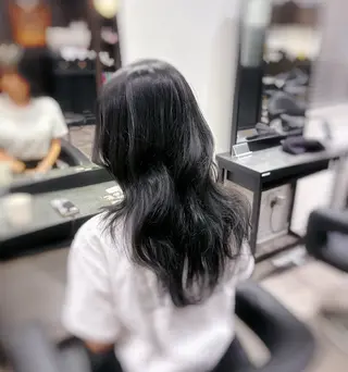 ロング カラー 韓国/トレンド レイヤー【101】のヘアスタイル