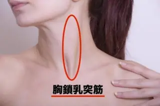 ショート カラー パーマ ヘアアレンジ メンズ キッズ ネイル マツエク・マツパ ‍痩身＆ボディ 結果出し🌟丹野のエステ・リラクイメージ