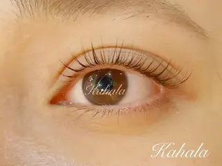 マツエク・マツパ アイラッシュリゾートカハラ新宿本店所属・Kahala KOMADAのマツエク・マツパデザイン