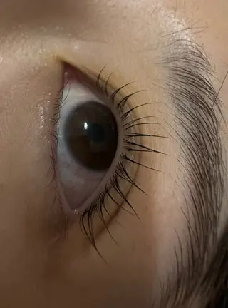 マツエク・マツパ MOMO モモのマツエク・マツパデザイン