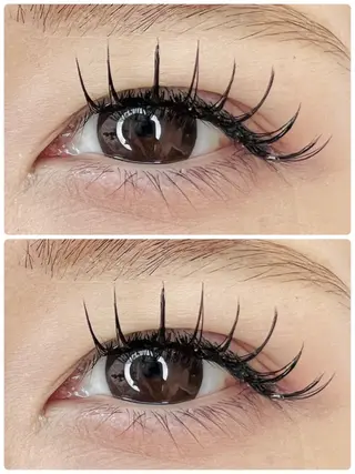 マツエク・マツパ Celeste Venus所属・🧸Celeste Venusのマツエク・マツパデザイン