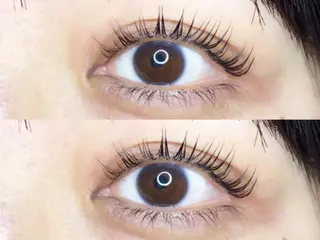 マツエク・マツパ 《eyelash ｉｉｔｅ》森のマツエク・マツパデザイン