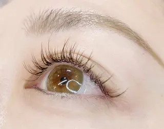 マツエク・マツパ Extension Tomato梅田店所属・Tomato 藤平のマツエク・マツパデザイン