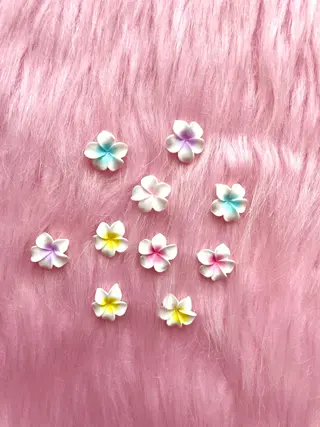 ネイル Nail ヌシん家 AKANEのネイルデザイン