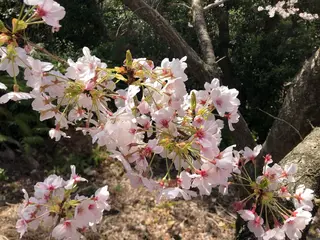 ミディアム Hair Communication Puzzle所属・雪上 章のヘアスタイル