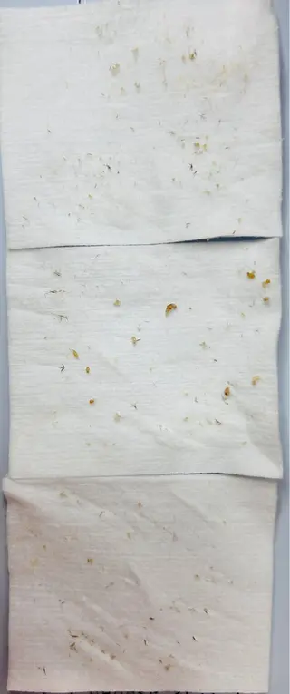 Beauty Zion所属・Beauty Zionのエステ・リラクイメージ