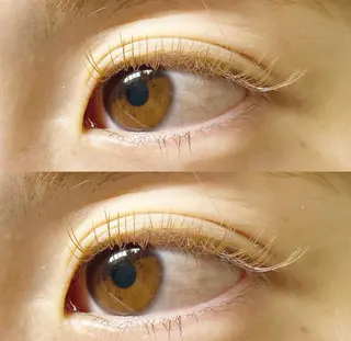 マツエク・マツパ 佐々木 美菜のマツエク・マツパデザイン