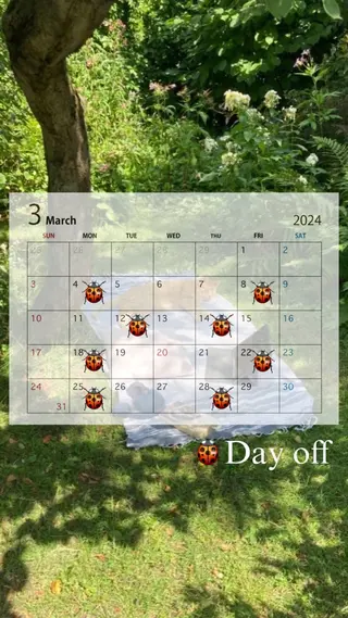 マツエク・マツパ Love&Hair Dive所属・Dive🌊🌺 Arinのマツエク・マツパデザイン