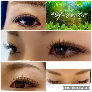 マツエク・マツパ Plants　斧田 ひろみのマツエク・マツパデザイン