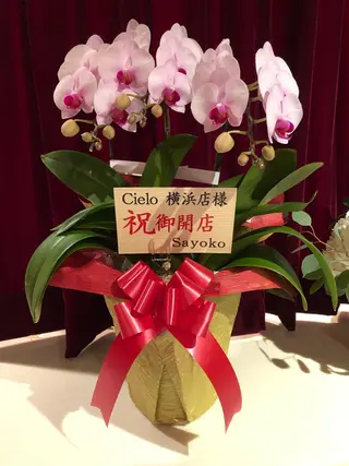 Cielo(シエロ) ダイエット専門店のエステ・リラクイメージ