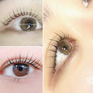 マツエク・マツパ Total beauty  Passion 枚方牧野店所属・eyelash Passion 木下のマツエク・マツパデザイン