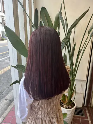 セミロング カラー 🫧艶髪デザイナー 🫧白石航汰のヘアスタイル