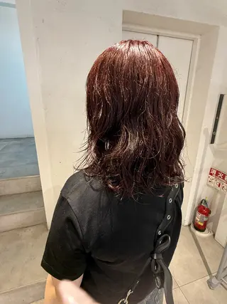 セミロング カラー ハイトーン/デザイン 🪐·˚⌖MIHOのヘアスタイル