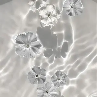 【バスト専門店 】 Kiana のエステ・リラクイメージ