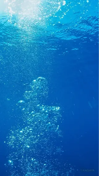 ネイル asuka 🐰のネイルデザイン