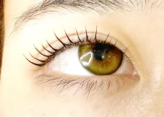 マツエク・マツパ Celeste Venus所属・🧸Celeste Venusのマツエク・マツパデザイン