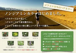 カラー ness 【ネス】のマツエク・マツパデザイン