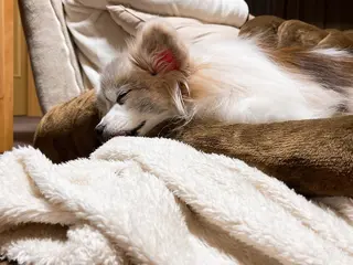 アイカワールド所属・鈴木 愛加のエステ・リラクイメージ