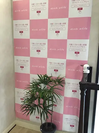 エクシアホワイトニング所属・よなな エクシア盛岡中央通店のエステ・リラクイメージ