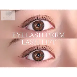 マツエク・マツパ 美人ヶ丘　三軒茶屋所属・美人ヶ丘三軒茶屋 まつ毛パーマ眉毛の眉毛・アイブロウイメージ