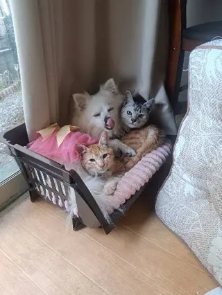 4Care所属・白金 千加子のエステ・リラクイメージ