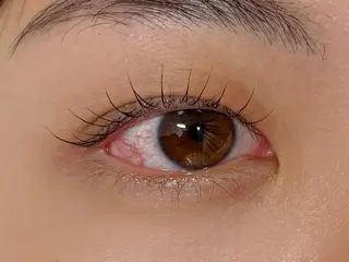 マツエク・マツパ 垢抜け眉WAX専門 ちゅるんまつげ|鎌倉の眉毛・アイブロウイメージ