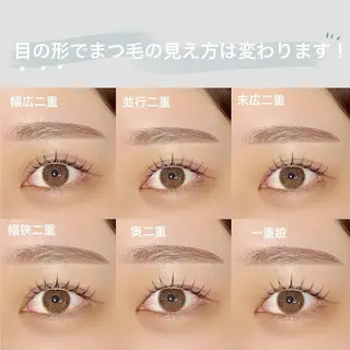 マツエク・マツパ 眉毛×まつげパーマ prima　池袋店所属・prima池袋 眉毛×まつ毛パーマのマツエク・マツパデザイン