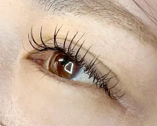 マツエク・マツパ Celeste Venus所属・🧸Celeste Venusのマツエク・マツパデザイン