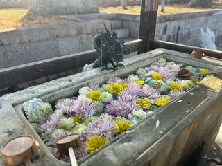 バストアップ専門 おっぱい先生いそのその他イメージ