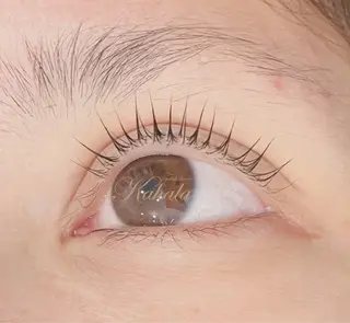 マツエク・マツパ 眼科監修まつ毛エクステ専門店　アイラッシュリゾートカハラ　大森店所属・Kahala  大森 Kuroda🎶のマツエク・マツパデザイン