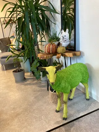 Lunie所属・Lunie 望月のエステ・リラクイメージ