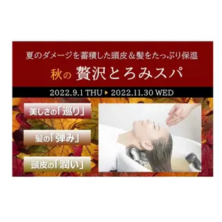 ⭐️似合わせアップ ⭐️並木奏絵のヘアスタイル