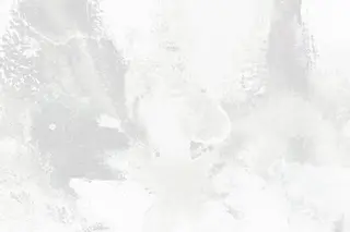 小顔カット/透明感 カラー/美髪矯正🫧のヘアスタイル