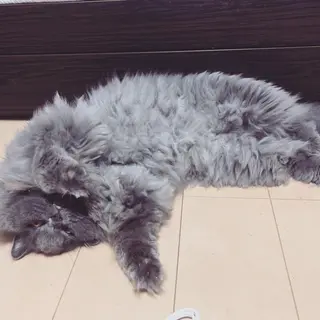 宮澤 ユキナのマツエク・マツパデザイン