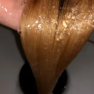 カラー サソウ ユリエ🥥のヘアスタイル