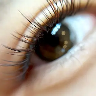 マツエク・マツパ komatsu eyelash恵比寿のマツエク・マツパデザイン