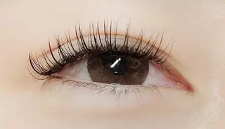 マツエク・マツパ LASH BAR所属・LASH BAR🫧 天王寺のその他イメージ