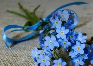 マツエク・マツパ アイブロウ fully nakameguro所属・fully nakameguroのマツエク・マツパデザイン