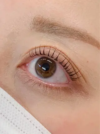 マツエク・マツパ Lil by Fan. 菊池のマツエク・マツパデザイン