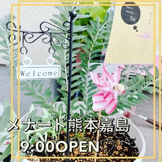 メナード熊本 嘉島のエステ・リラクイメージ