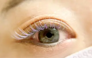 マツエク・マツパ Plume micoのマツエク・マツパデザイン