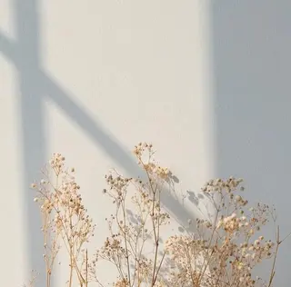 マツエク・マツパ まつえく屋さん 【M A L O】のマツエク・マツパデザイン