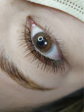 マツエク・マツパ y"salon Lilyのマツエク・マツパデザイン